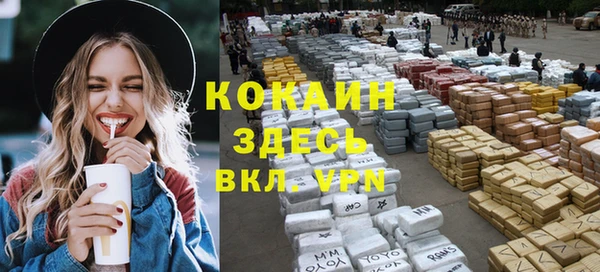 ГАЛЛЮЦИНОГЕННЫЕ ГРИБЫ Богданович